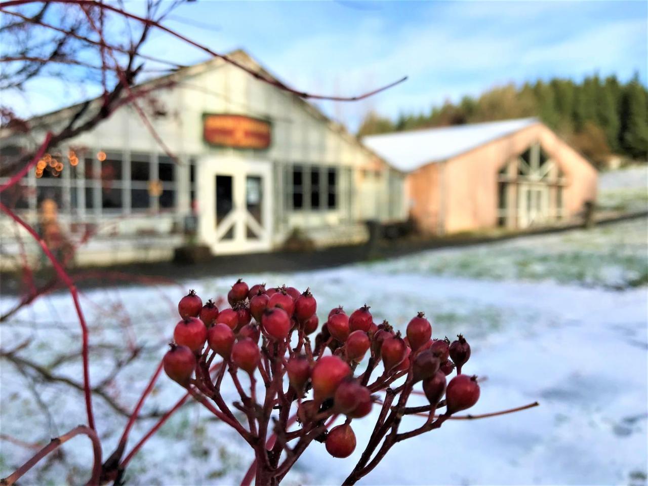 Solheimar Eco-Village Guesthouse Buitenkant foto